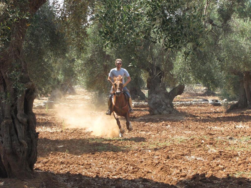 Antica Masseria Carparelli Vendégház Ostuni Kültér fotó